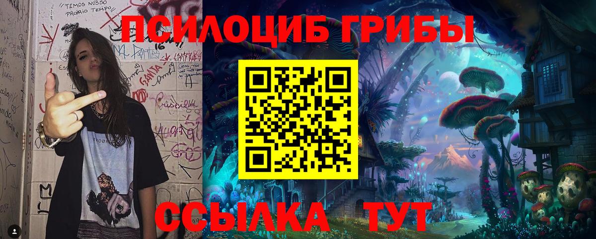 Галлюциногенные грибы Magic Shrooms Югорск